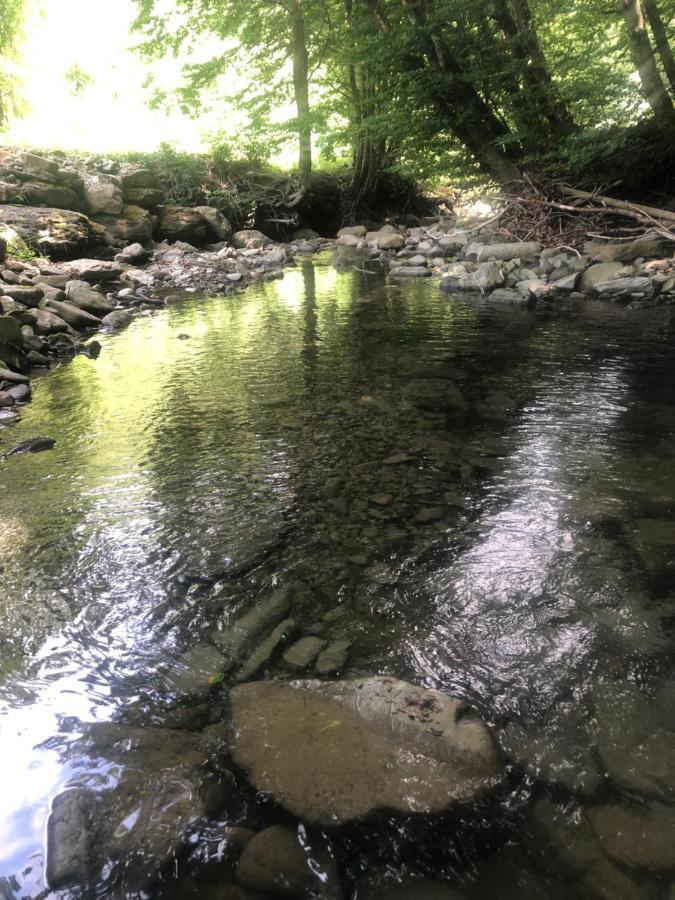 Apartmán Casa Nel Bosco, Appennino Tosco Emiliano Camugnano Exteriér fotografie